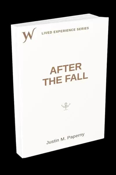 After The Fall