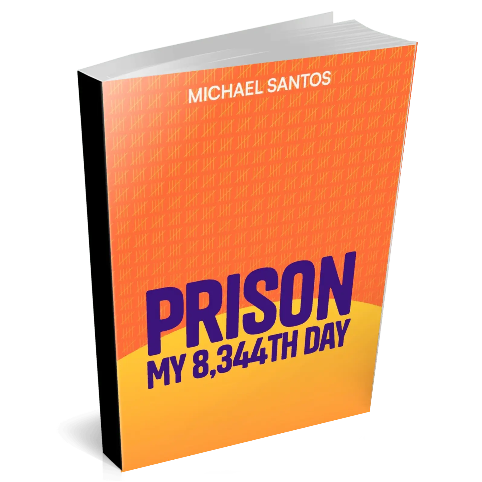 Prison: My 8,344th Day / Workbook