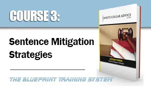 Sentence Mitigation Strategies