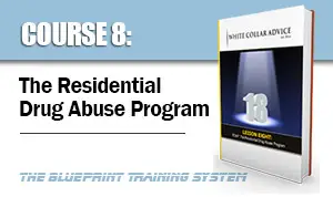 The Residential Drug Abuse Program