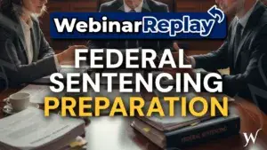 Blog pre-suasion sentencing